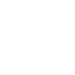 ART RIGHTS ICON 2