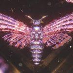 184838162_967766324034872_4745317724987581901_n